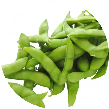 枝豆 - NMN 125mgを摂取するには26,500粒が必要