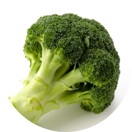 ブロッコリー - NMN 125mgを摂取するには3,350個が必要